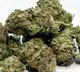 Police Constable arrested for Ganja illegal transport
