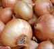 govt on onions rate