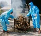 Europe may see Half million Corona deaths by February says WHO