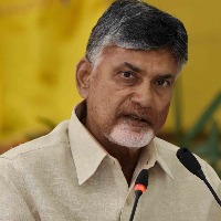 TDP seeks protection for its candidates in local body polls