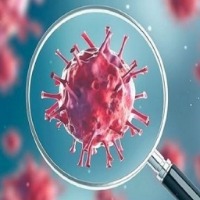 In a first, Alpha variant of Covid detected in pets: Study