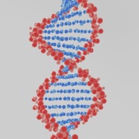 Genes may explain why anxiety is linked to gut disorder