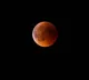 Longest Lunar Eclipse of the decade