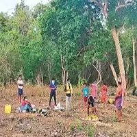 Telangana embarks on new exercise to settle Podu lands issue once for all