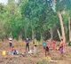 Telangana embarks on new exercise to settle Podu lands issue once for all