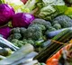 New $345mn program to transform food systems in 27 nations