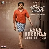 Pawan Kalyan bheemla naik song releases