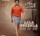 Pawan Kalyan bheemla naik song releases