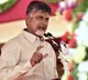 Chandrababu demands stoppage of Nellore corporation elections