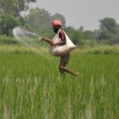 Telangana seeks timely supply of fertilizers from Centre