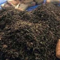 Ganja worth Rs 1 cr seized near Hyderabad