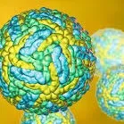 Zika virus cases cross 100 mark in UP