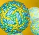 Zika virus cases cross 100 mark in UP