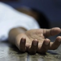 Indian American student dies after being trampled at music concert