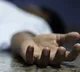 Indian American student dies after being trampled at music concert