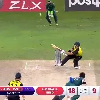 Mathew Wade Responded On His Sensational Innings