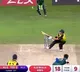 Mathew Wade Responded On His Sensational Innings