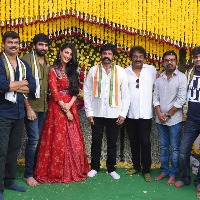 Balakrishna's movie with Gopichand Mallineni gets a grand launch