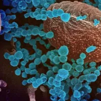 Norovirus confirmed in Kerala