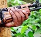 5 Maoists dead in encounter in Maharashtra