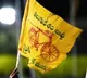 TDP Writes Letter to AP SEC on municipal Elections