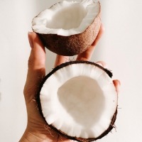 Can't interfere in how to conduct 'puja', break a coconut: SC