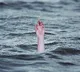 6 teenagers drown in Telangana's Manair river