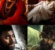 Packed December for Telugu cinelovers with 'Pushpa', 'Ghani', 'Akhanda'