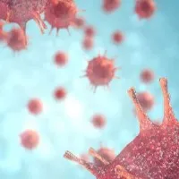 Elite Controllers Give Hope for an HIV Cure