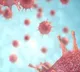 Elite Controllers Give Hope for an HIV Cure
