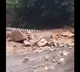 Heavy rain caused landslides in Tirumala