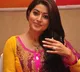 Actress Sneha complains against two businessmen