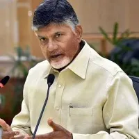 Nara Chandrababu Instructs TDP Cadre To Help Flood Victims