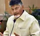 Nara Chandrababu Instructs TDP Cadre To Help Flood Victims