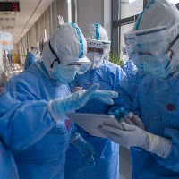 Wuhan scientists were studying Laos bat viral samples before pandemic: Report