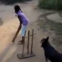 Tendulkar impressed by dog's 'sharp ball catching skills', posts video on social media