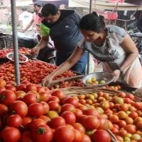 Tomato Prices At High On The Sky