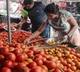 Tomato Prices At High On The Sky