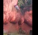 Reason behind man trries to jump into lions enclosure in Hyderabad Zoo