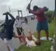 Lokesh shares a video of some people thrashed TDP worker in Guntur district