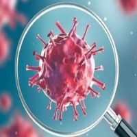 New 'Botswana' variant is most mutated version of Covid