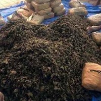 1,820 kg ganja seized from Maharashtra-bound truck near Hyderabad