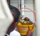 Karnataka ACB Pulls Out Rs 500 Notes from Water Pipe