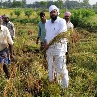 CBI Former JD Lakshminarayana joins paddy harvesting