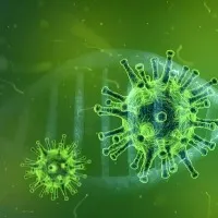 Center alerts states and UTs over new corona variant