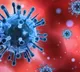 Medical College 150 students who vaccinated tests corona positive