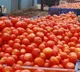 tomato rate downfall in andhra pradesh