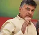 Chandrababu held meeting with TDP MPs ahead of Parliament winter sessions
