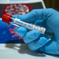 AP Corona cases and deaths report