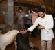 CM Jagan visits Goshala near his residence in Tadepally
